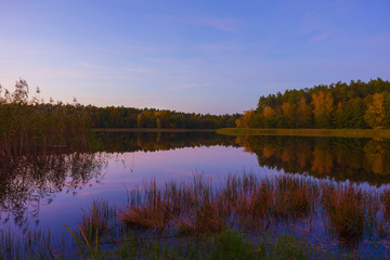 Fototapeta premium Autumn landscape sunset lake violet sky clouds trees on the shore reflection in the water