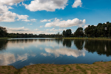 Bogotá, Cundinamarca, Colombia. 8 de noviembre de 2019. Parque Metropolitano Simón Bolívar,...