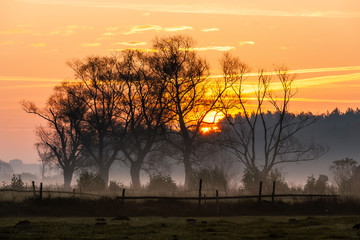 Złota polska jesień na Podlasiu, Dolina Narwi, Podlasie, Polska © podlaski49
