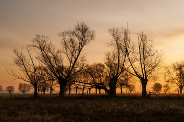 Złota polska jesień na Podlasiu, Dolina Narwi, Podlasie, Polska © podlaski49