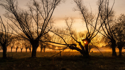 Złota polska jesień na Podlasiu, Dolina Narwi, Podlasie, Polska © podlaski49