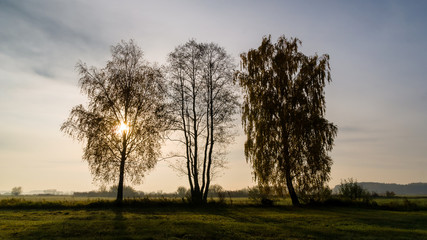 Złota polska jesień na Podlasiu, Dolina Narwi, Podlasie, Polska © podlaski49