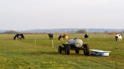 Złota polska jesień na Podlasiu, Dolina Narwi, Podlasie, Polska © podlaski49