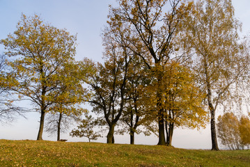 Złota polska jesień na Podlasiu, Dolina Narwi, Podlasie, Polska © podlaski49