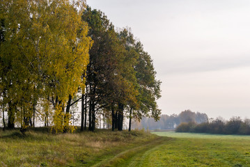 Złota polska jesień na Podlasiu, Dolina Narwi, Podlasie, Polska © podlaski49