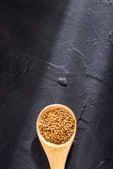 Medicago sativa - Organic Alfalfa Seeds