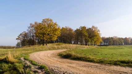 Złota polska jesień na Podlasiu, Dolina Narwi, Podlasie, Polska © podlaski49