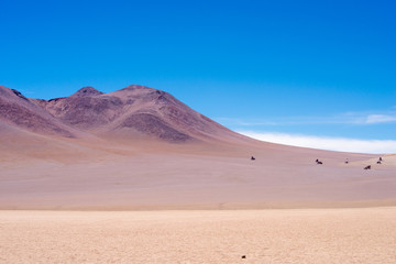 Fototapeta na wymiar Dali Desert, Eduardo Avaroa Andean Fauna National Reserve, Bolivia