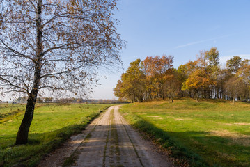 Złota polska jesień na Podlasiu, Dolina Narwi, Podlasie, Polska © podlaski49