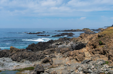 Fototapeta na wymiar Coastal view at Sea Ranch in Northern California