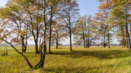 Złota polska jesień na Podlasiu, Dolina Narwi, Podlasie, Polska © podlaski49