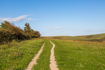 A pathway through a green rural landcape near Lewes in Sussex, on a sunny summers  evening © lemanieh