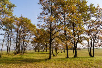 Złota polska jesień na Podlasiu, Dolina Narwi, Podlasie, Polska © podlaski49