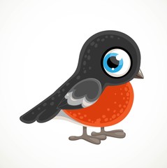 Cute cartoon red breast bullfinch isolated on white background