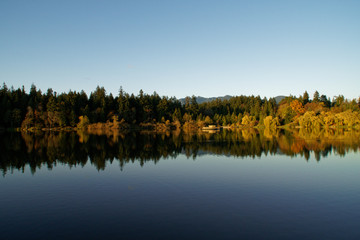 Lost lagoon in Vancouver is like a miracle mirror.