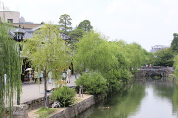 柳の木と川（倉敷、岡山県）