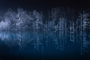 青い池のライトアップ