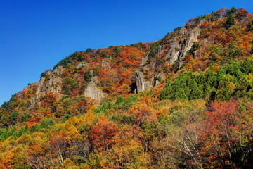 霊山の紅葉