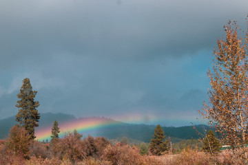 Rainbow After Rain in Hayfork, California