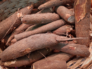 Portion of fresh Organic Manioc