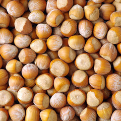 Hazelnuts background