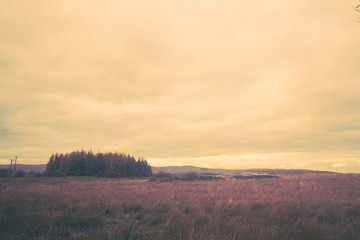Fototapeta na wymiar Fantasy rural landscape with fields and blurry sky