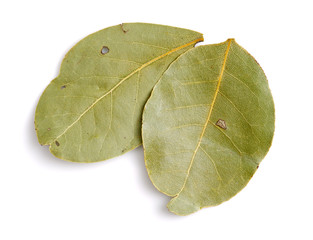 Aromatic bay leaves isolated on white background