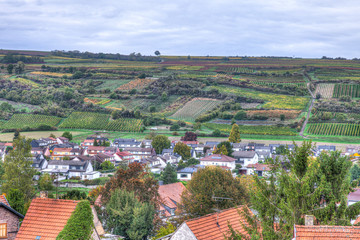 Fototapeta na wymiar View of the vineyards in Grunstadt, Germany