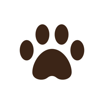 Paw icon logo vector in flat style  design template