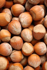 Hazelnuts background