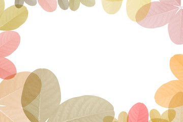 colorful leaves pattern on white background,gradient color pastel autumn leaf,ideas graphic design for web or banner