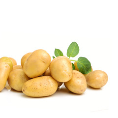 New potato isolated on white background 