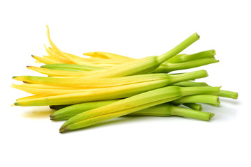 Daylily on white background