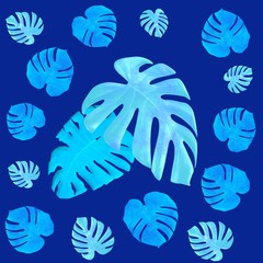 leaves monstera pattern isolated on blue background
