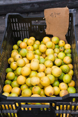 Limon (lemons and limes) at Farmer's Market