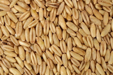 Raw oat grouts closeup texture