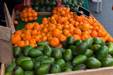 Avacados and Tangerines at the Farmer's Market