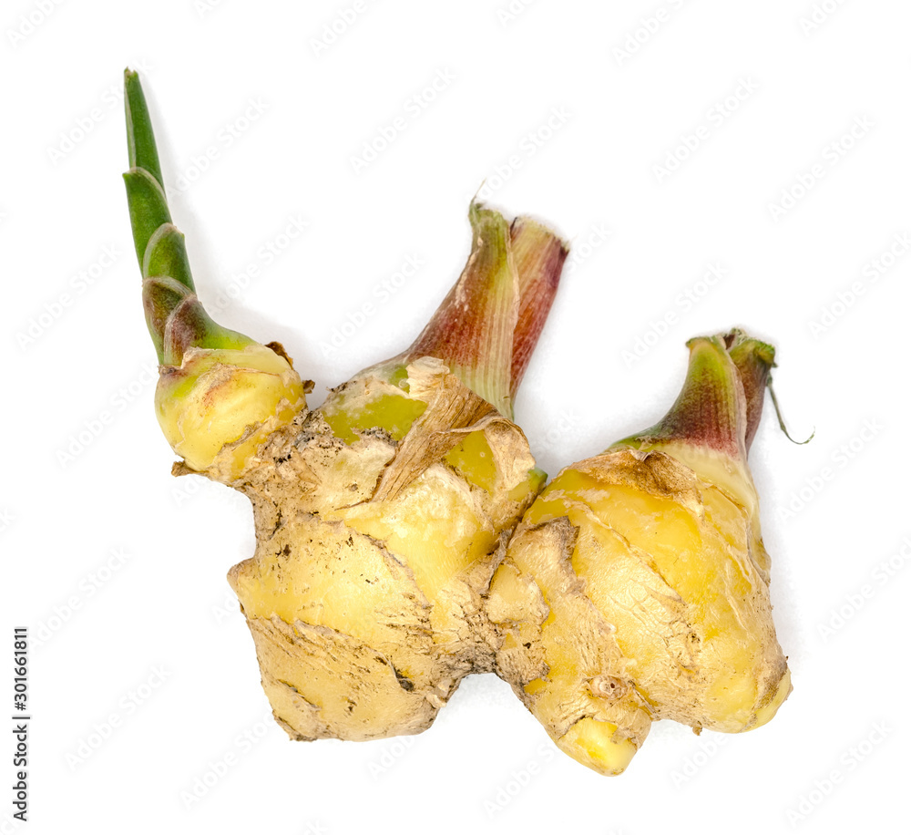 Wall mural closeup fresh ginger isolated on white background