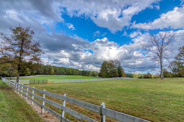 white fence in a field with bare trees in the fall
