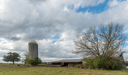 Fototapeta na wymiar Barn and silo in a field with trees in rural North Carolina