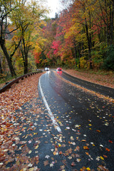 Fototapeta premium Autumn