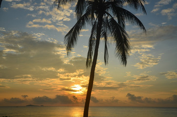 A picturesque tropical yellow coloured cumulus cloudy coastal sunrise seascape with palm trees in a blue sky. Thailand.
