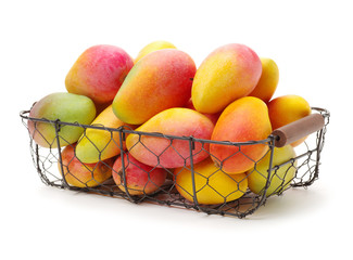 Mango on white background