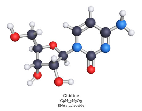 Cytidine is a nucleoside of RNA, composed of cytosine as the nucleobase and ribose as the sugar. 