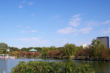 Fototapeta na wymiar 遠方から見た上野東照宮の屋根