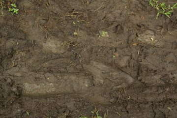  a wallpaper made of brown mud in the field