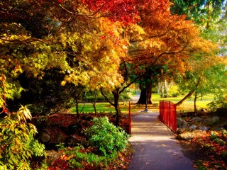 Beacon Hill Park fall