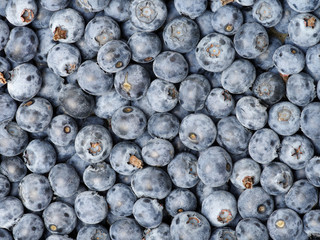 Background of fresh ripe blueberries. Close-up.