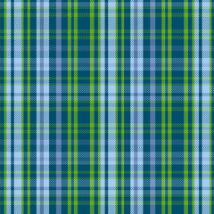 Tartan Plaid pattern. Flannel textile pattern / seamless background.