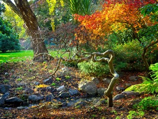 Beacon Hill Park fall